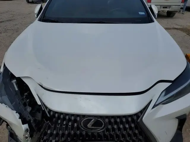 LEXUS NX 250 PREMIUM 2024