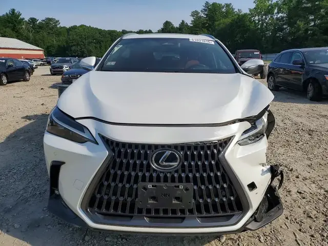 LEXUS NX PREMIUM 2024