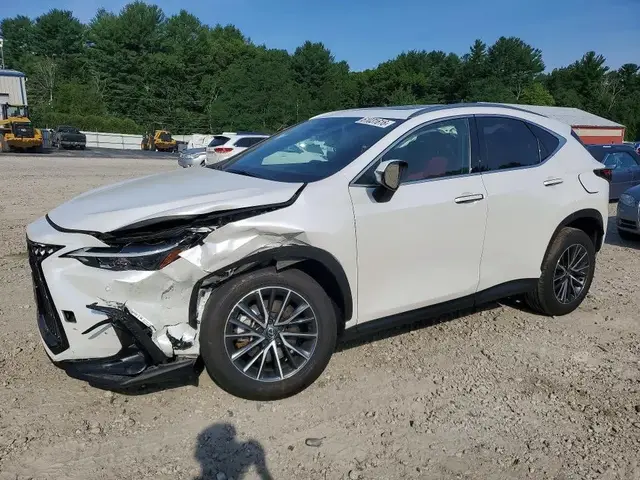 LEXUS NX PREMIUM 2024