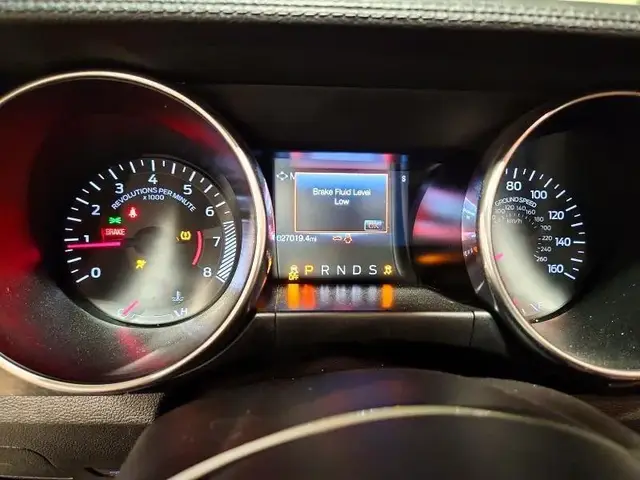 FORD MUSTANG 2022