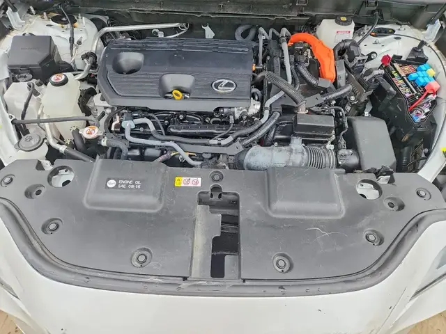 LEXUS NX PREMIUM 2024