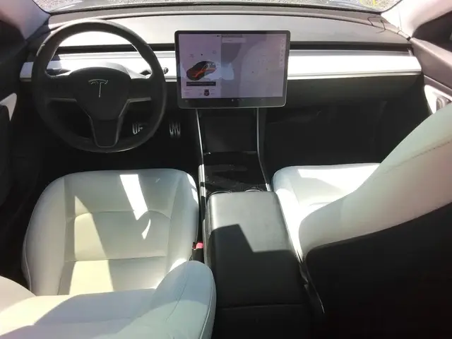 TESLA MODEL 3 2019