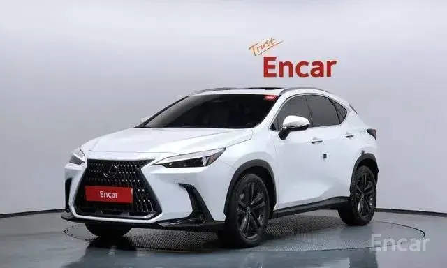 LEXUS NX350H 2022