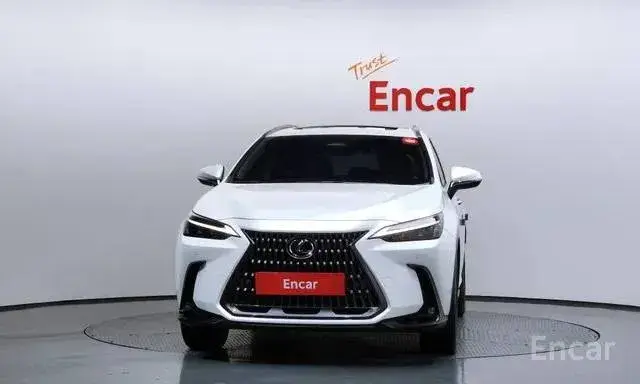 LEXUS NX350H 2022