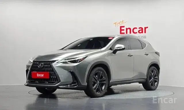 LEXUS NX350H 2023