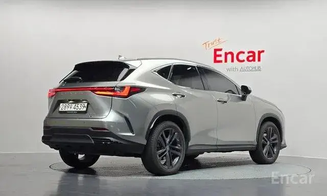 LEXUS NX350H 2023