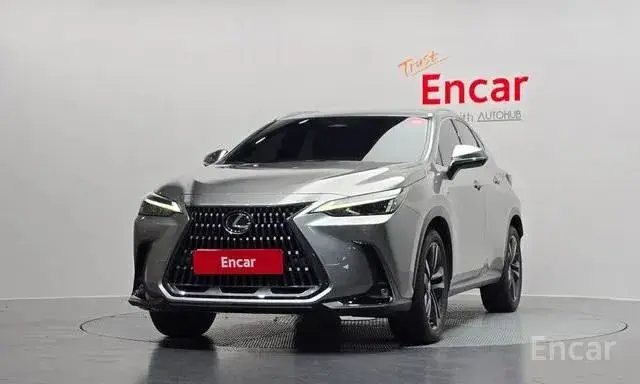 LEXUS NX350H 2023