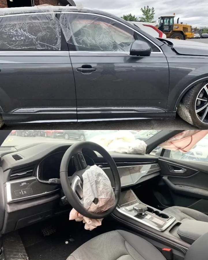 AUDI Q7 55 TECHNIK 2024