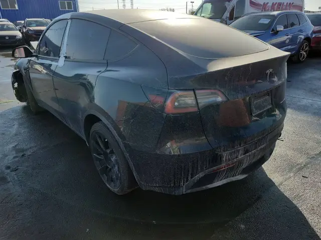 TESLA MODEL Y 2021