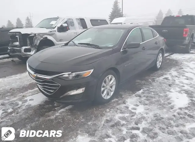 CHEVROLET MALIBU 2024