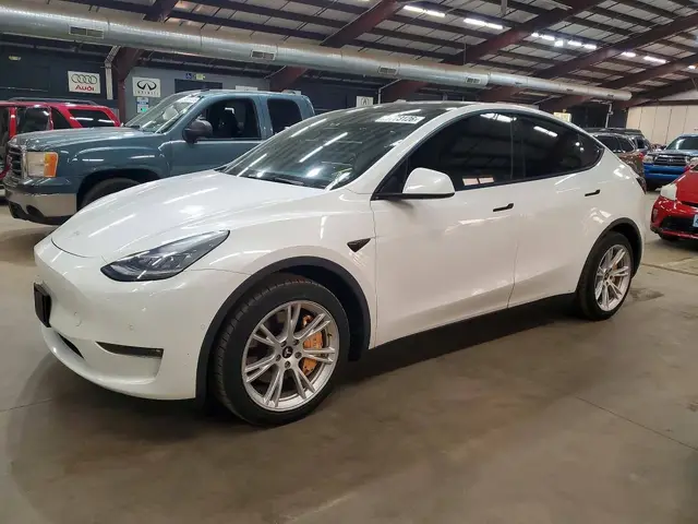 TESLA MODEL Y 2021