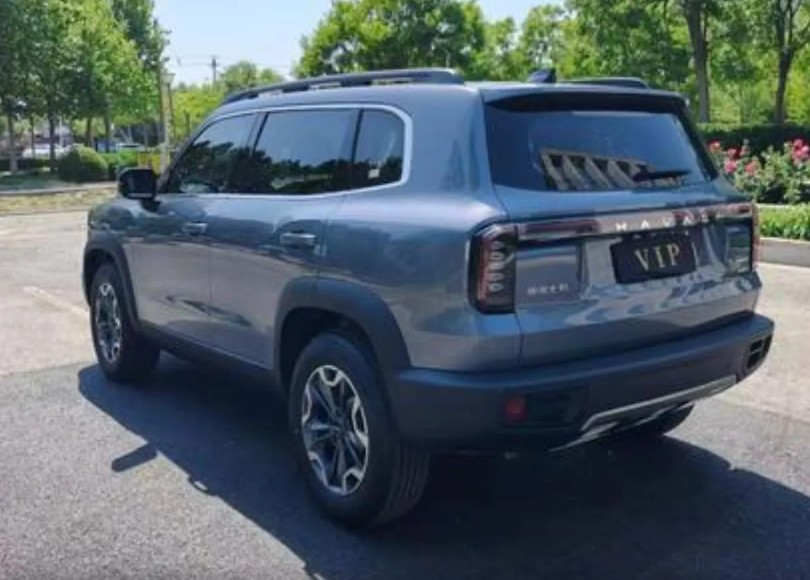 HAVAL BIG DOG 2024