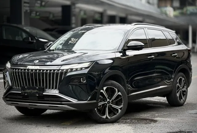 DONGFENG AEOLUS HAOJI 2023