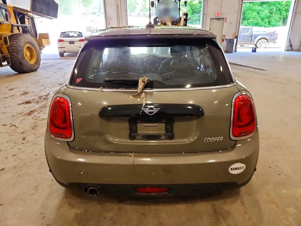 MINI 2019 2019