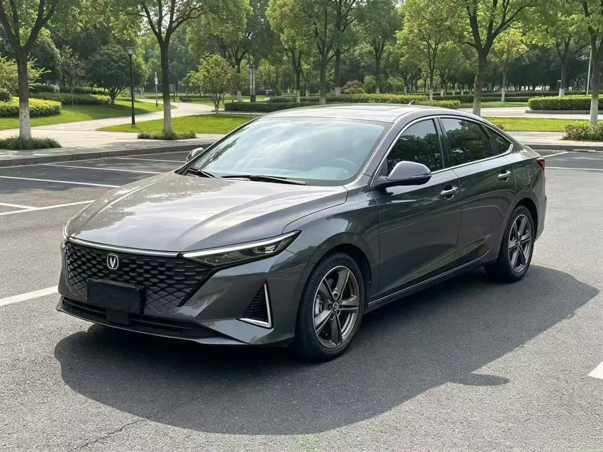 CHANGAN RUICHENG LUXURY 2023