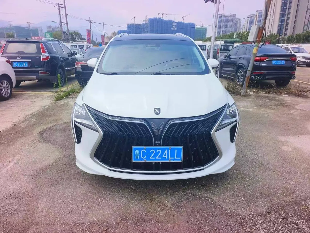 DONGFENG FORTHING YOUTING 2022