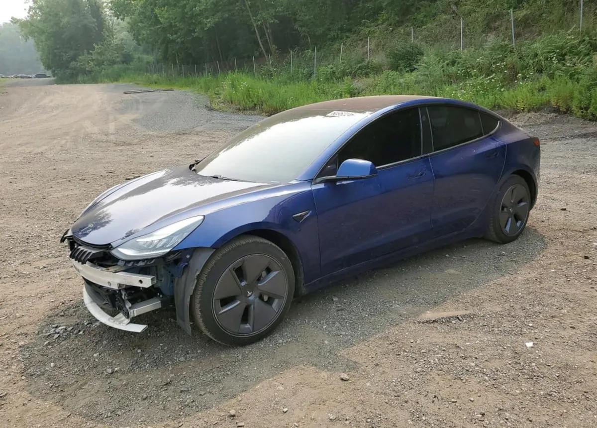 TESLA MODEL 3 2019