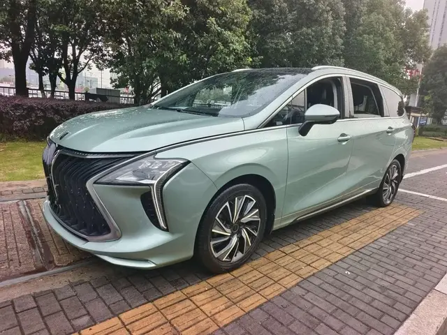 DONGFENG FORTHING YOUTING 2022