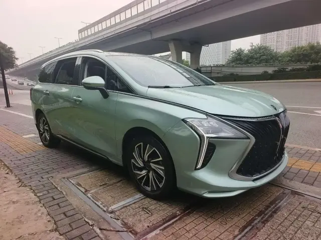 DONGFENG FORTHING YOUTING 2022