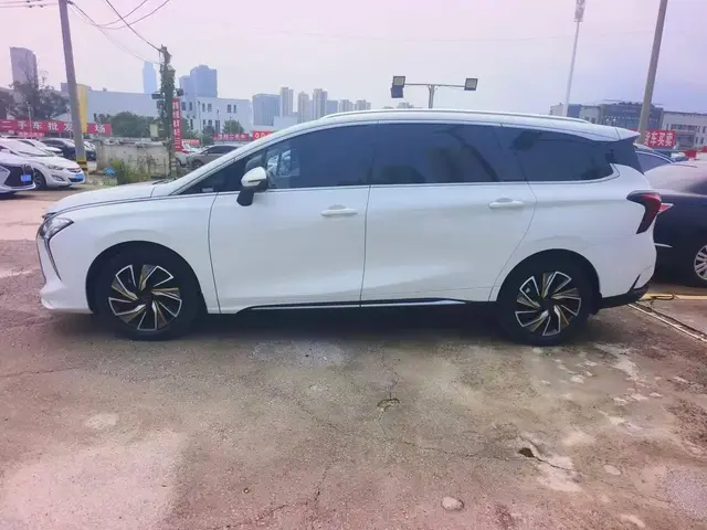 DONGFENG FORTHING YOUTING 2022