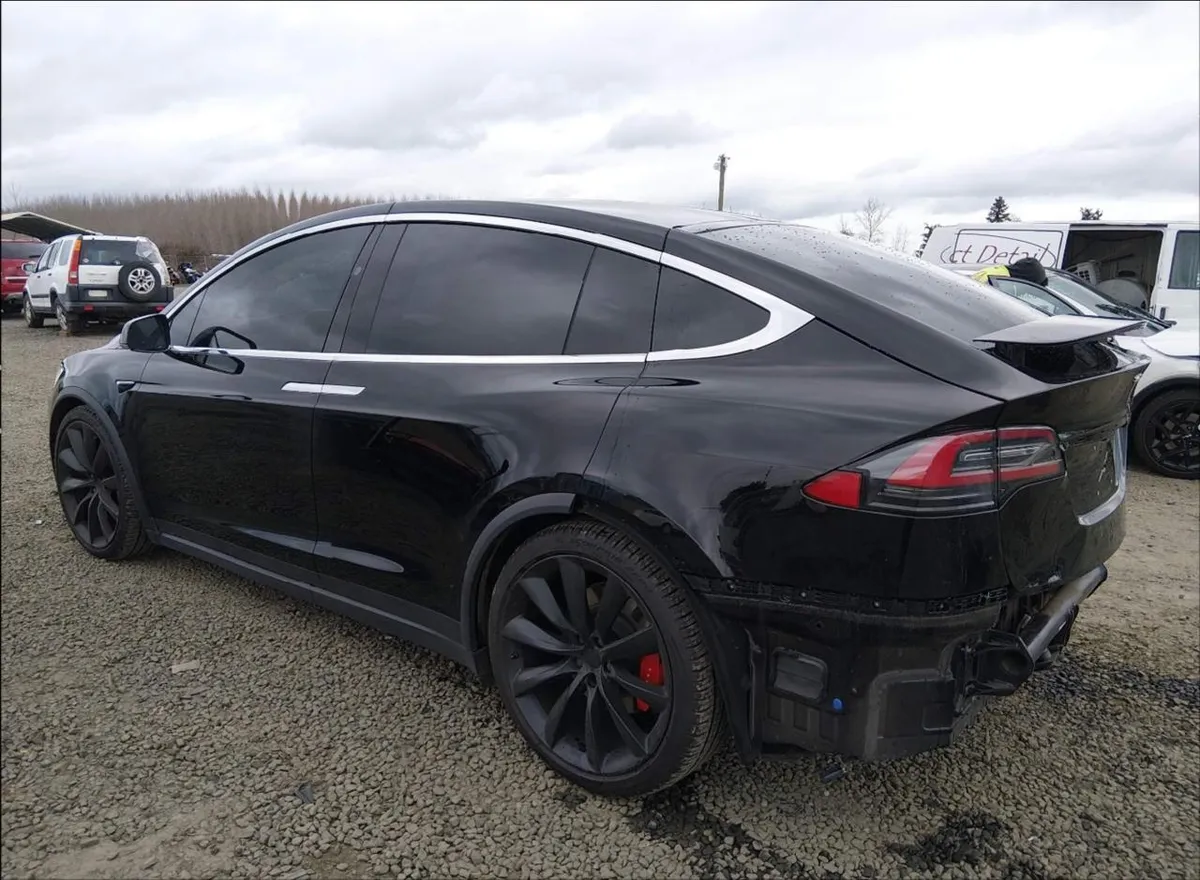 TESLA MODEL X PERFORMANCE 2020