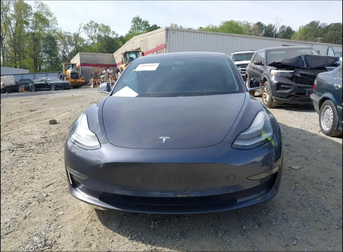TESLA MODEL 3 2019
