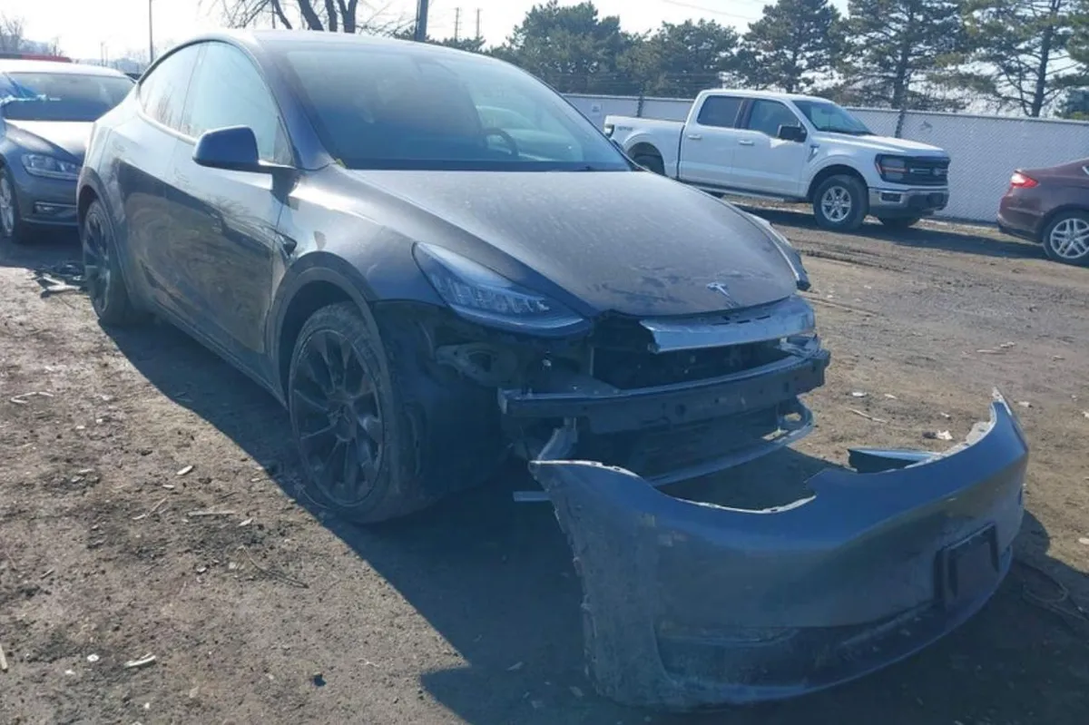 TESLA MODEL Y 2021