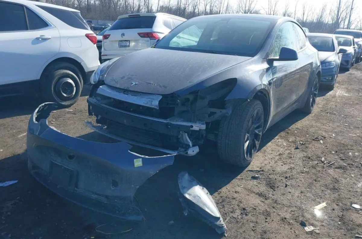TESLA MODEL Y 2021