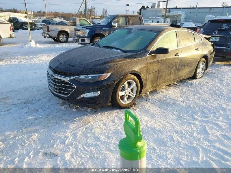 CHEVROLET MALIBU LS 2024