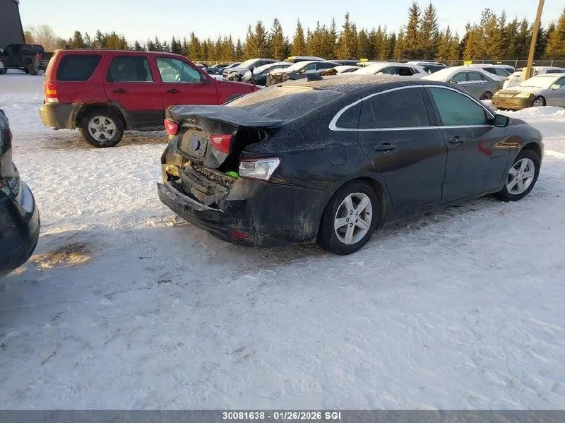 CHEVROLET MALIBU LS 2024