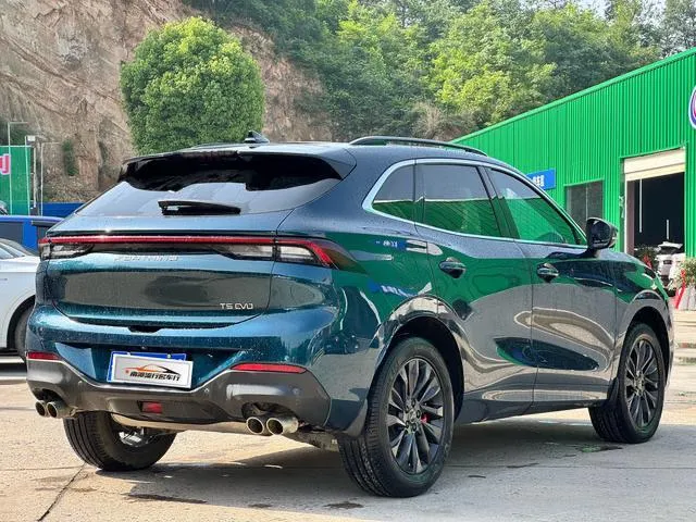 DONGFENG FORTHING EVO GODDESS FORTHING T5 EVO GODDESS 2022