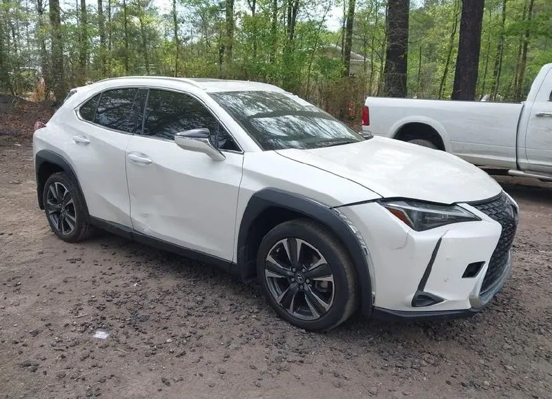 LEXUS UX 250H 2023