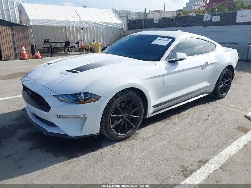 FORD MUSTANG ECOBOOST FASTBACK 2022