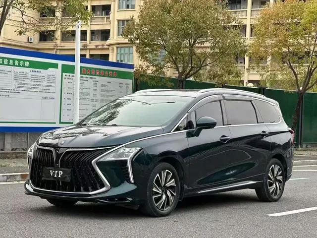 DONGFENG FORTHING YACHT 2022
