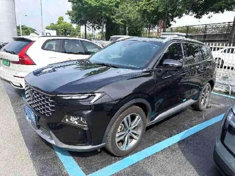 FORD LINGRUI 2022