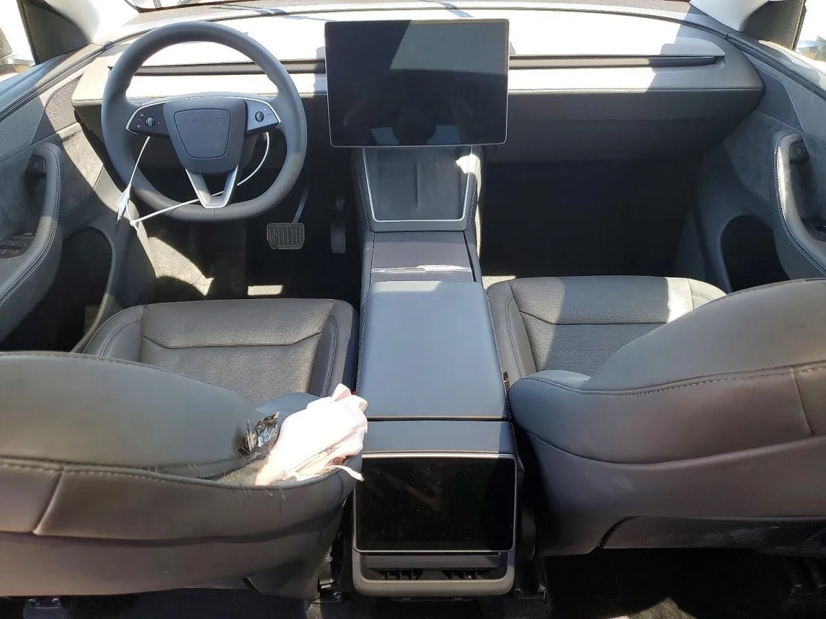 TESLA MODEL Y 2026