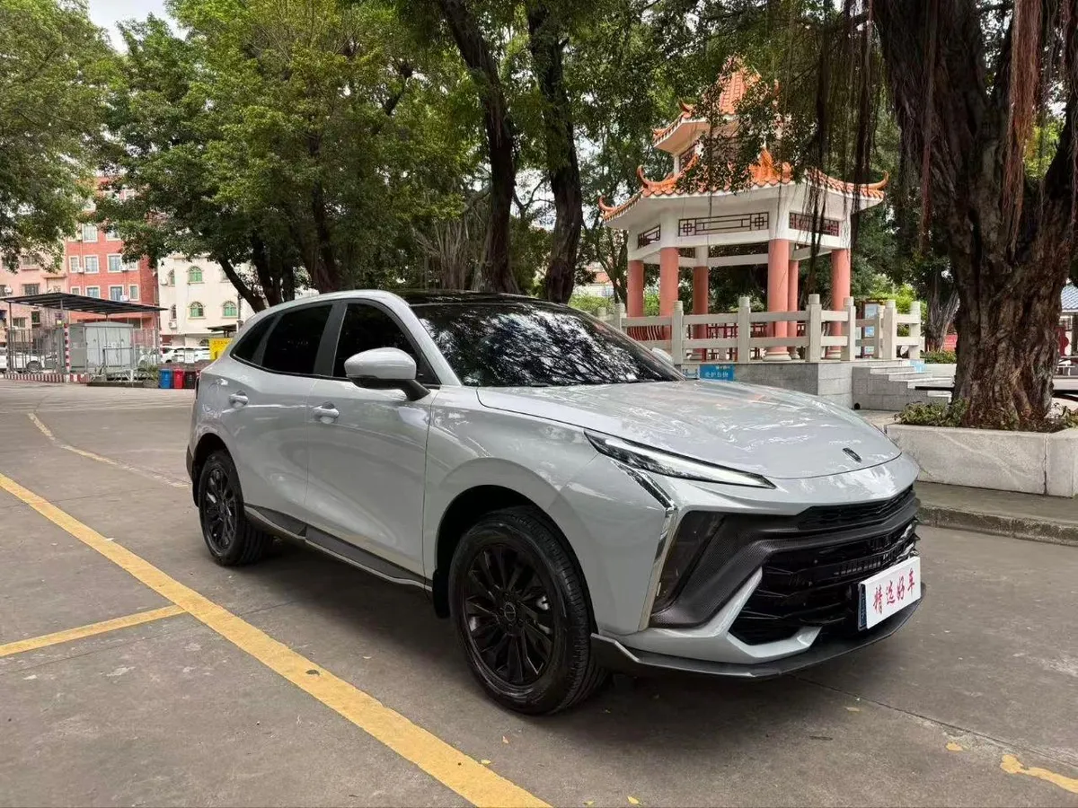 DONGFENG FENGXING EVO FENGXING T5 EVO 2024