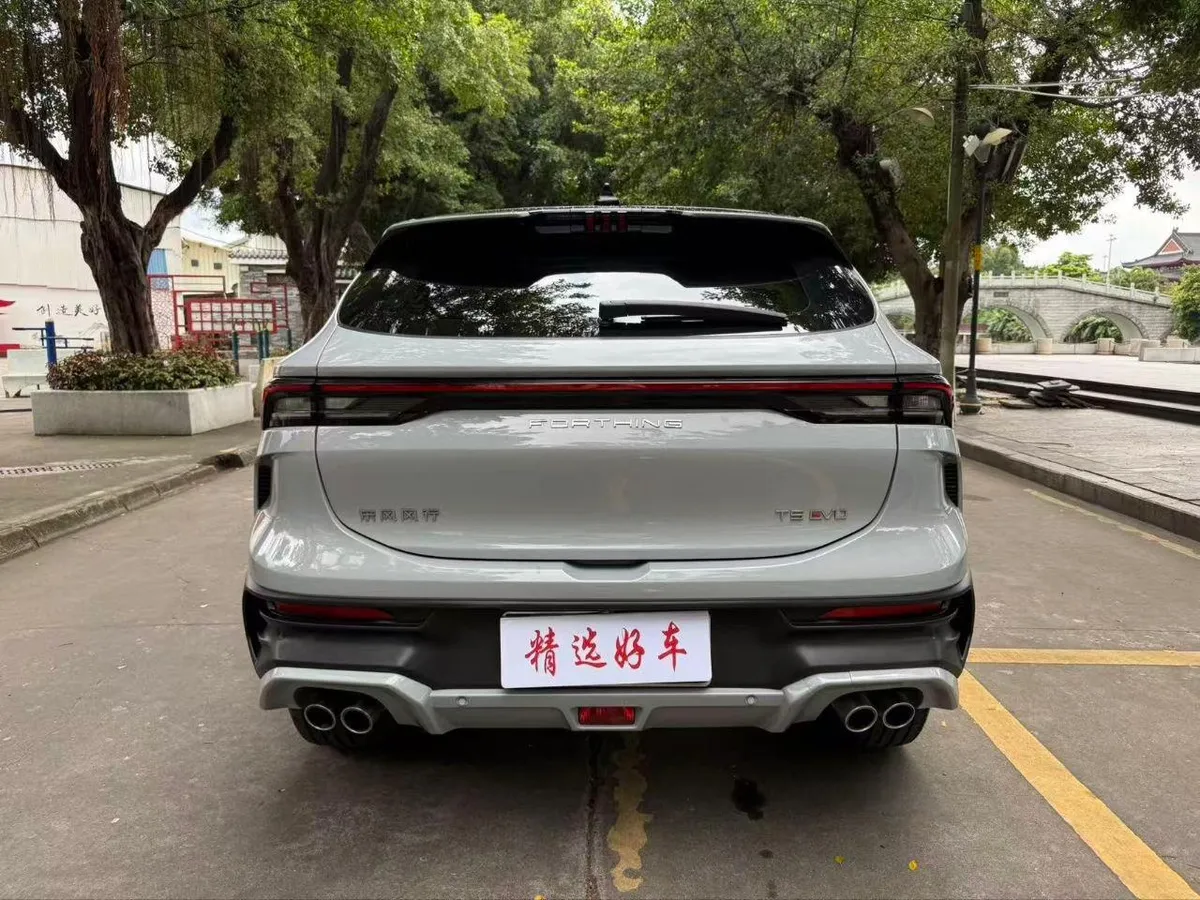 DONGFENG FENGXING EVO FENGXING T5 EVO 2024