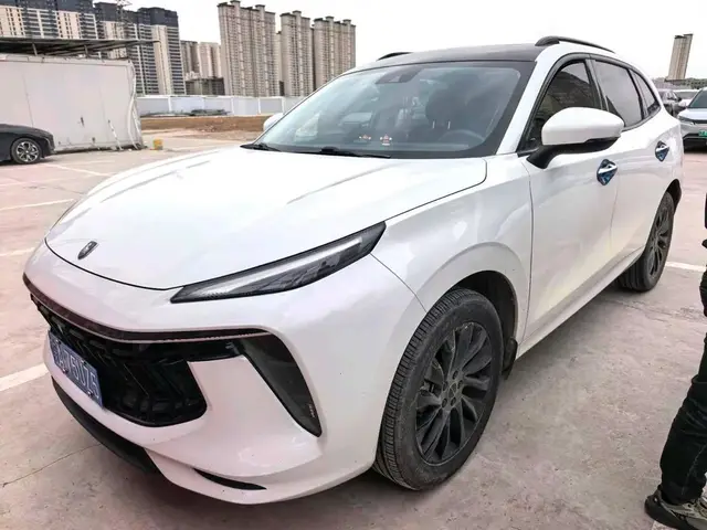 DONGFENG FENGXING 2021