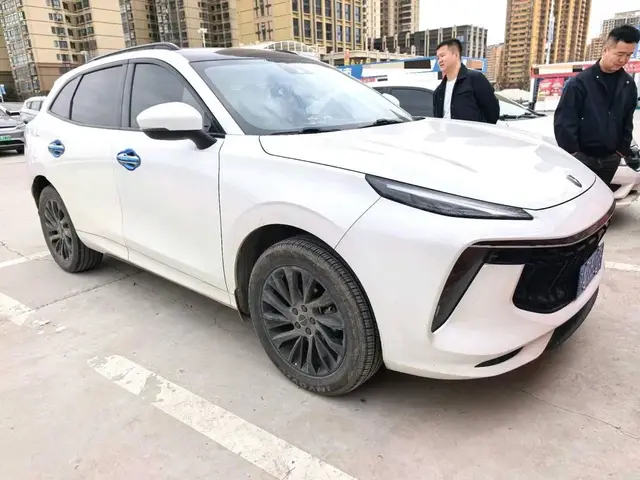 DONGFENG FENGXING 2021