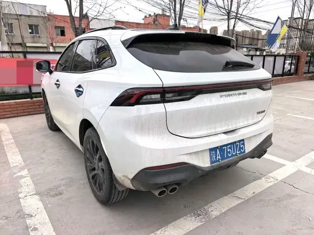 DONGFENG FENGXING 2021