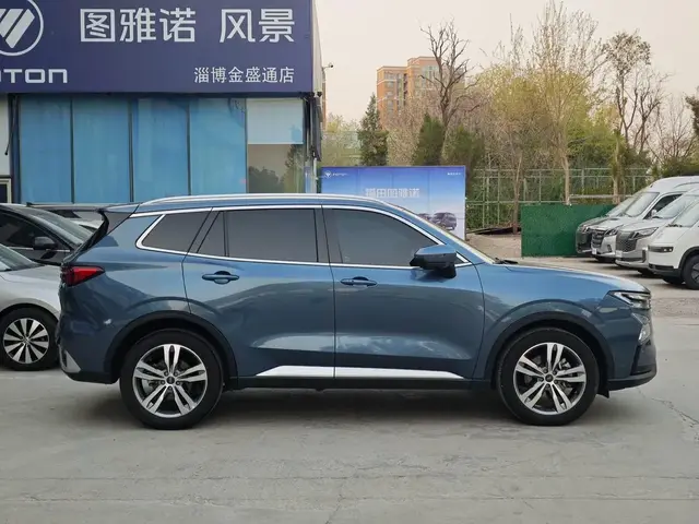 FORD LINGRUI 2022