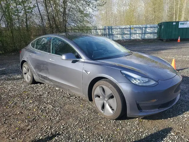 TESLA MODEL 3 2020