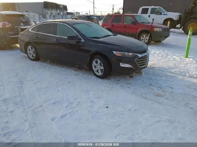 CHEVROLET MALIBU LS 2024