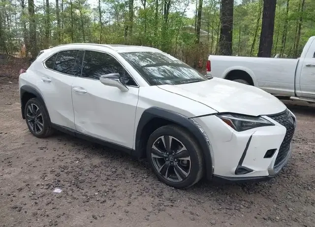 LEXUS UX 250H 2023