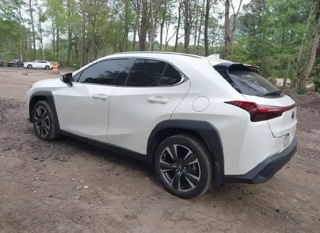 LEXUS UX 250H 2023