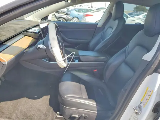 TESLA MODEL 3 2020