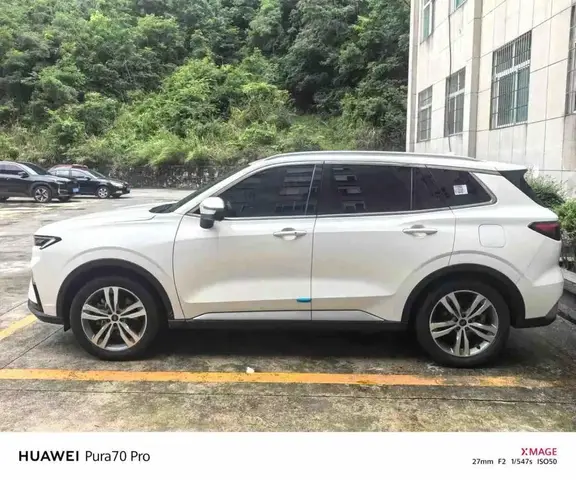 FORD LINGRUI PREMIUM 2022