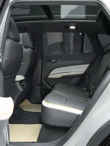 FORD LINGRUI 2022