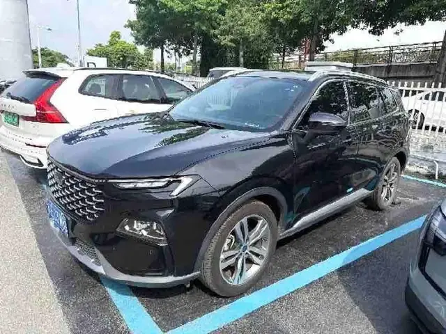 FORD LINGRUI 2022